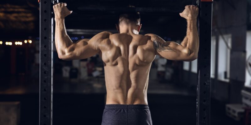 Praesent libro se cursus ante