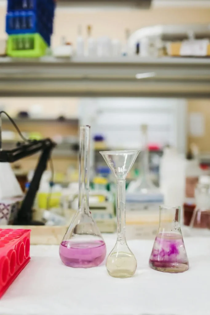 Science experiment in primary clases 2024: A STEP TO FORWARD