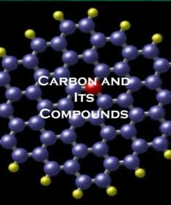 Carbon and Its Compounds Worksheet: 200 Questions for Comprehensive Learning