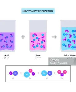 Comprehensive Acid, Base, and Salt Worksheet: 200 Questions for Chemistry Mastery
