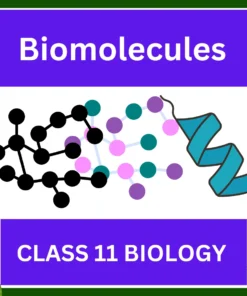 Biomolecules CLASS 11 BIOLOGY: A GREAT WORKSHEET FOR GOOD