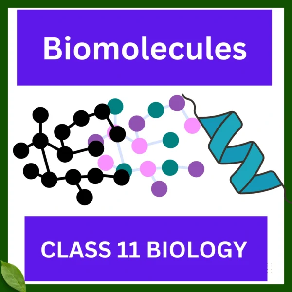 Biomolecules CLASS 11 BIOLOGY: A GREAT WORKSHEET FOR GOOD