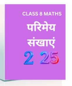 Chapter 1. परिमेय संख्याएँ CLASS 8 WORKSHEET: A Great Learning