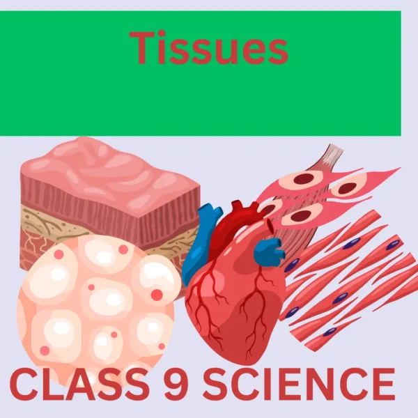 TISSUE CLASS 9: A GREAT LEARNING